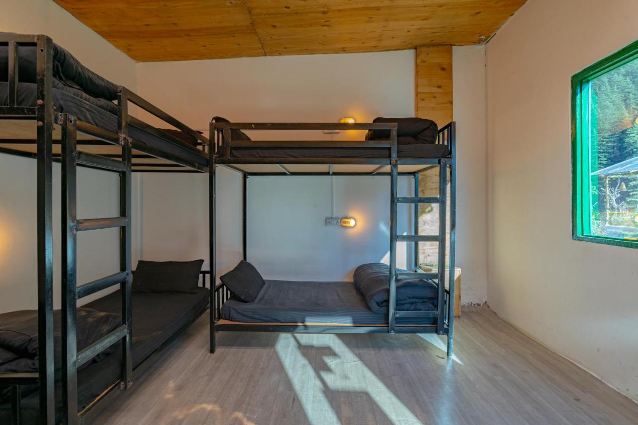 Jungle Hostel By Whoopers カソル エクステリア 写真
