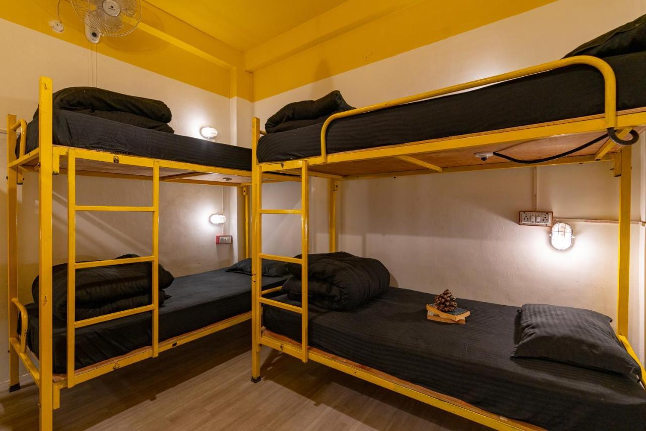 Jungle Hostel By Whoopers カソル エクステリア 写真