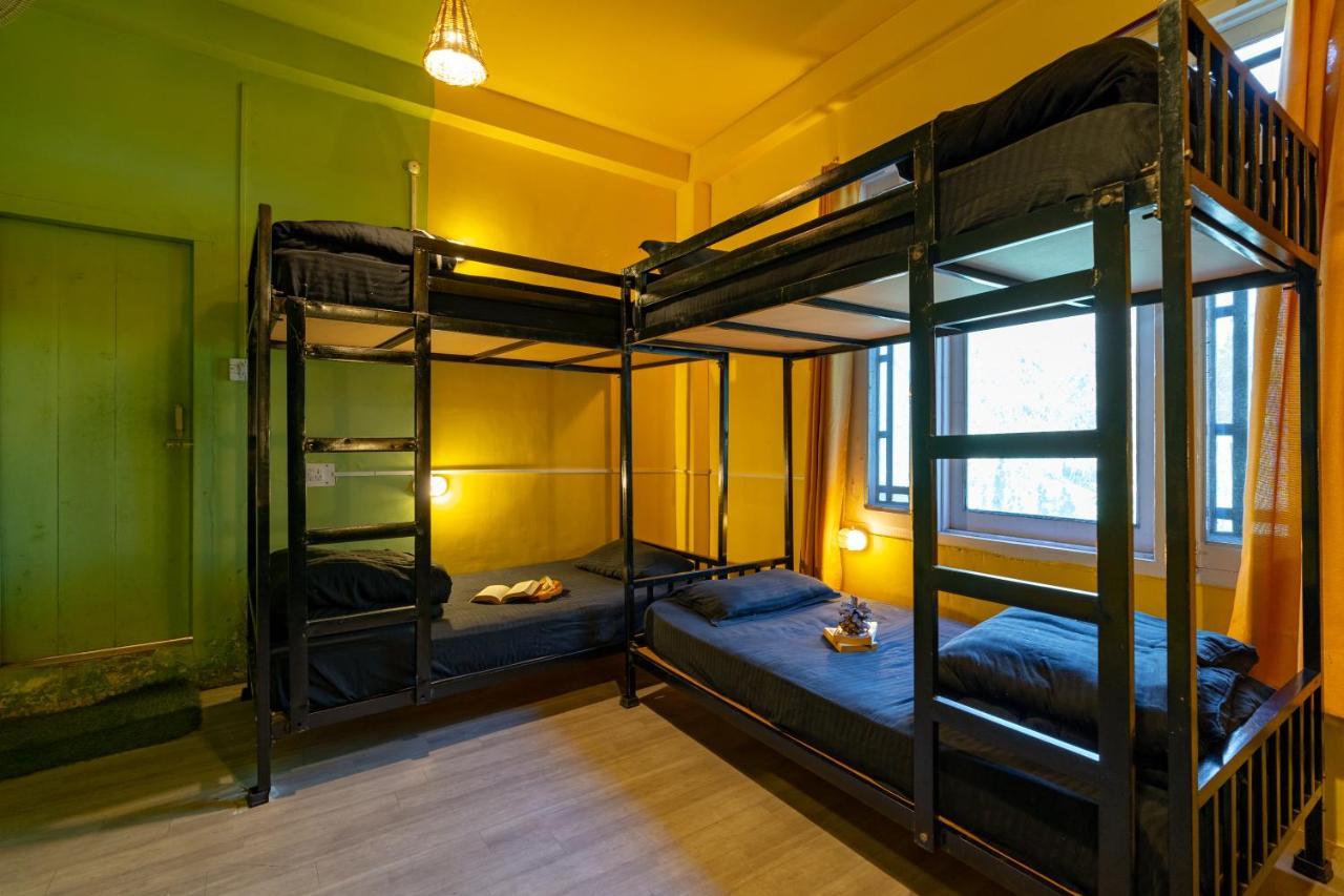 Jungle Hostel By Whoopers カソル エクステリア 写真