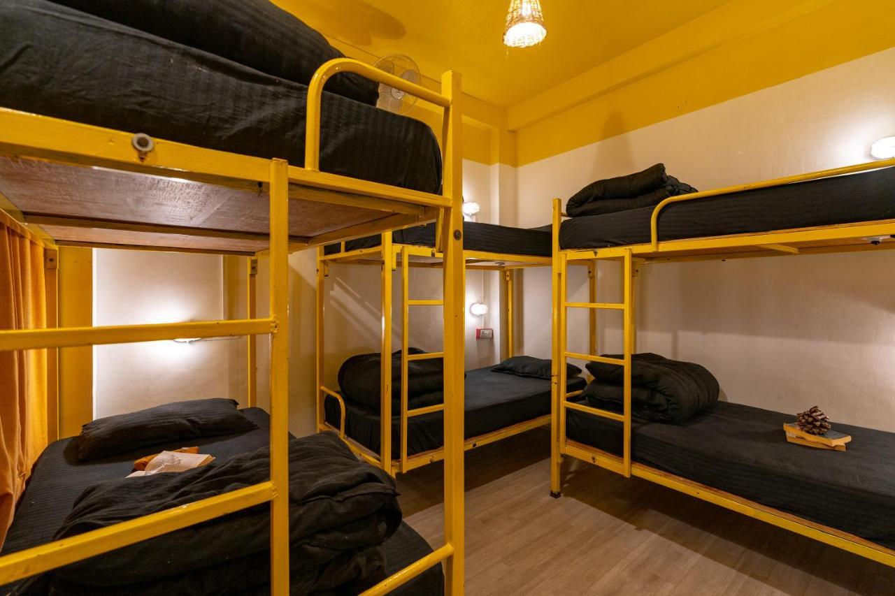 Jungle Hostel By Whoopers カソル エクステリア 写真
