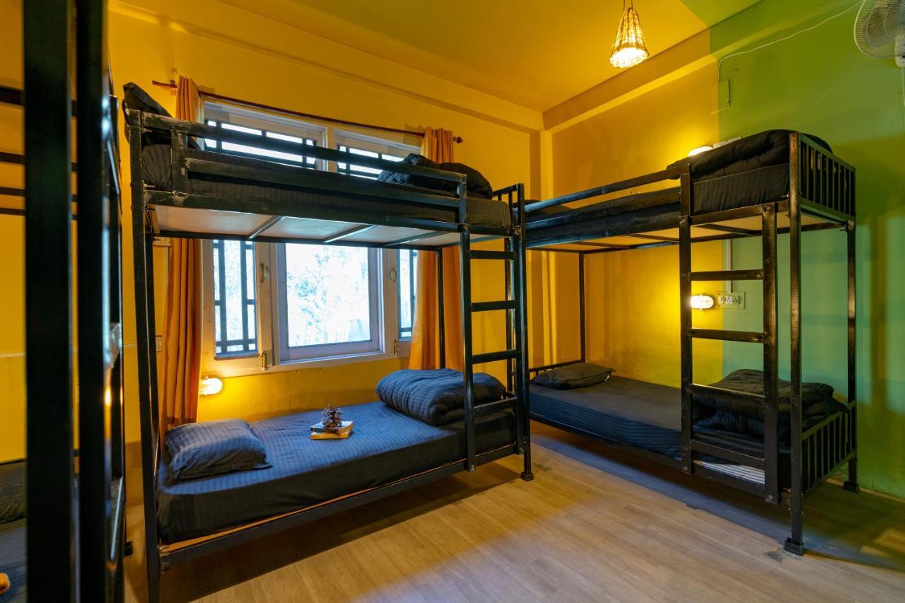 Jungle Hostel By Whoopers カソル エクステリア 写真