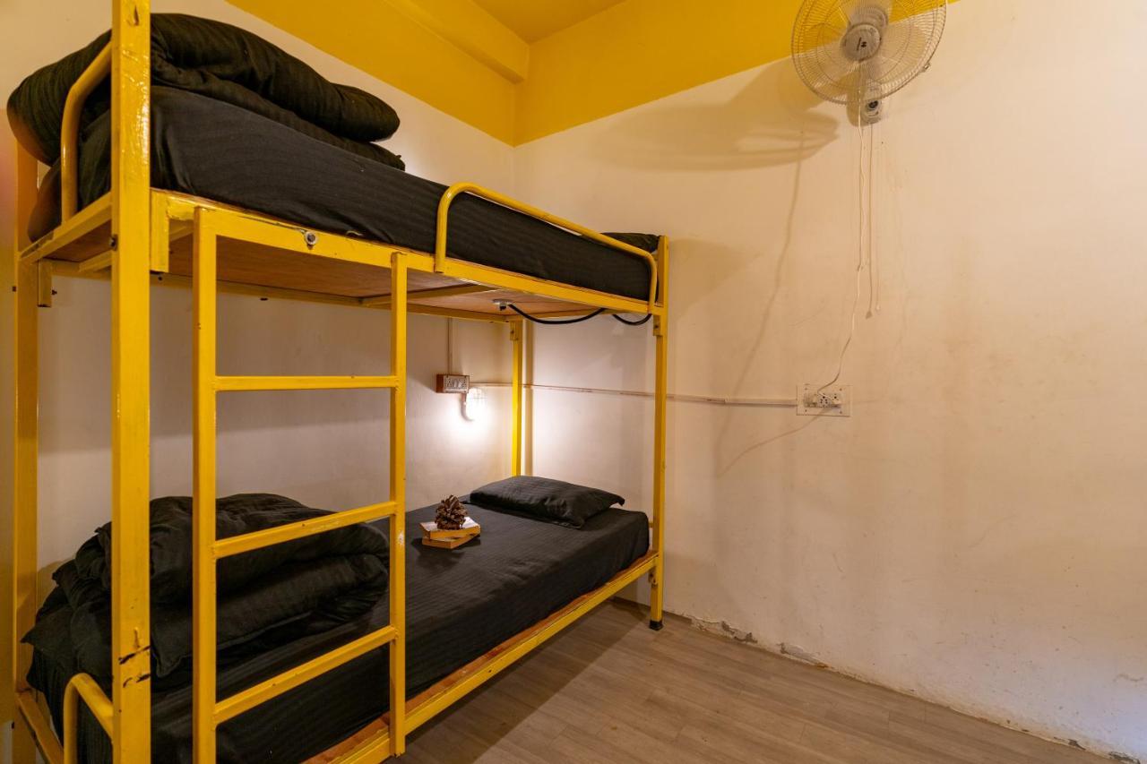 Jungle Hostel By Whoopers カソル エクステリア 写真
