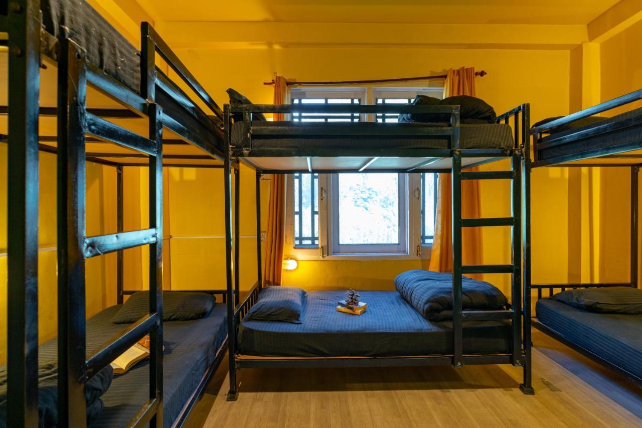 Jungle Hostel By Whoopers カソル エクステリア 写真